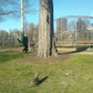 Meet your Posher, Mara